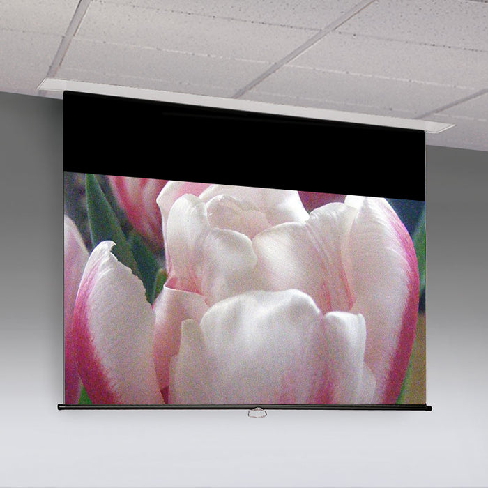 Draper Manual Projection Screen Access M, Matt White XT1000E